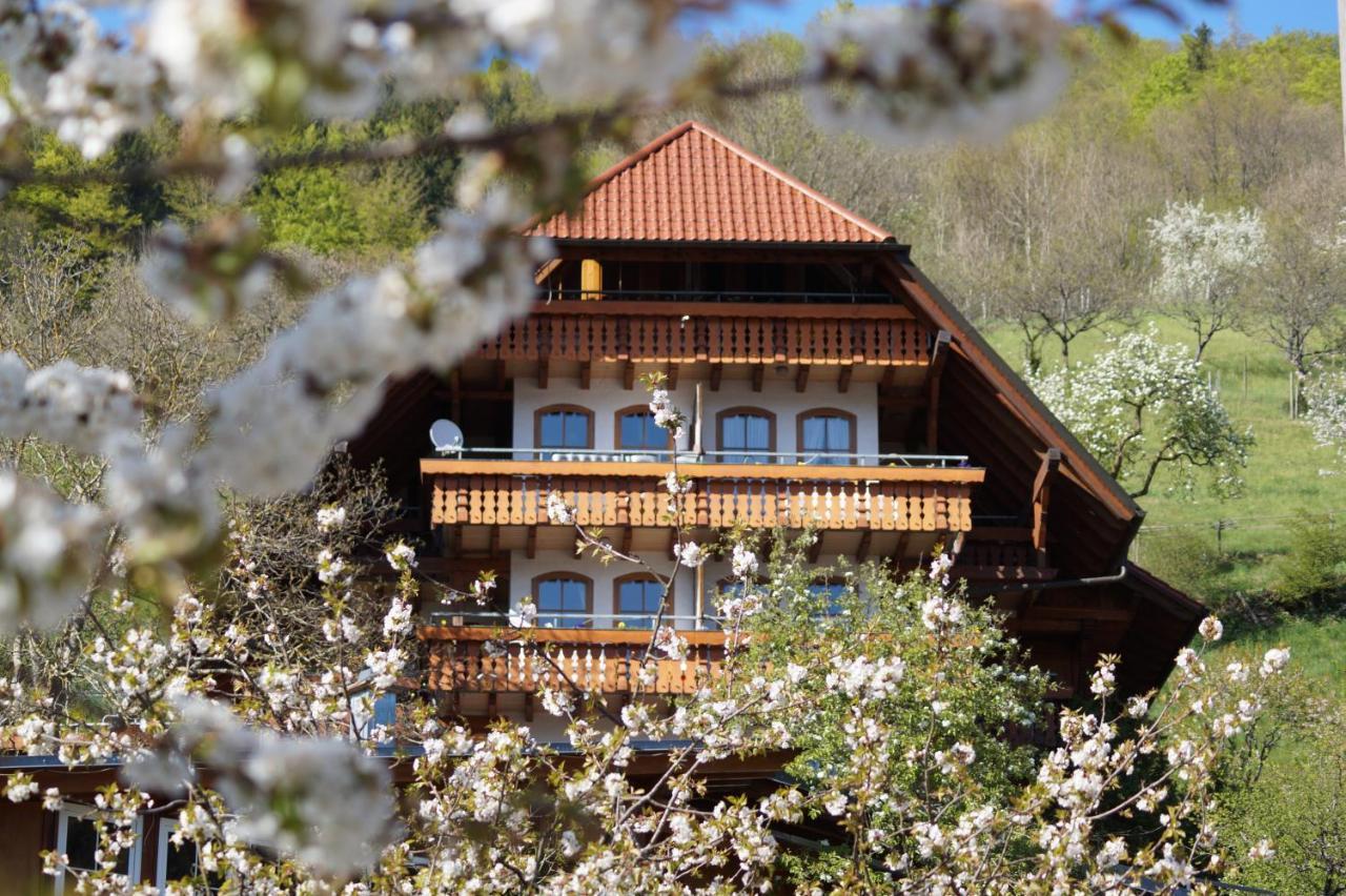 Ehrenmaettlehof Faisst Aparthotel Bad Peterstal-Griesbach Ngoại thất bức ảnh