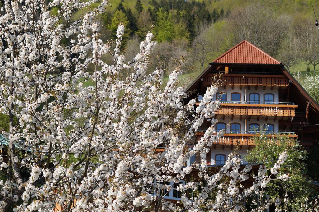 Ehrenmaettlehof Faisst Aparthotel Bad Peterstal-Griesbach Phòng bức ảnh