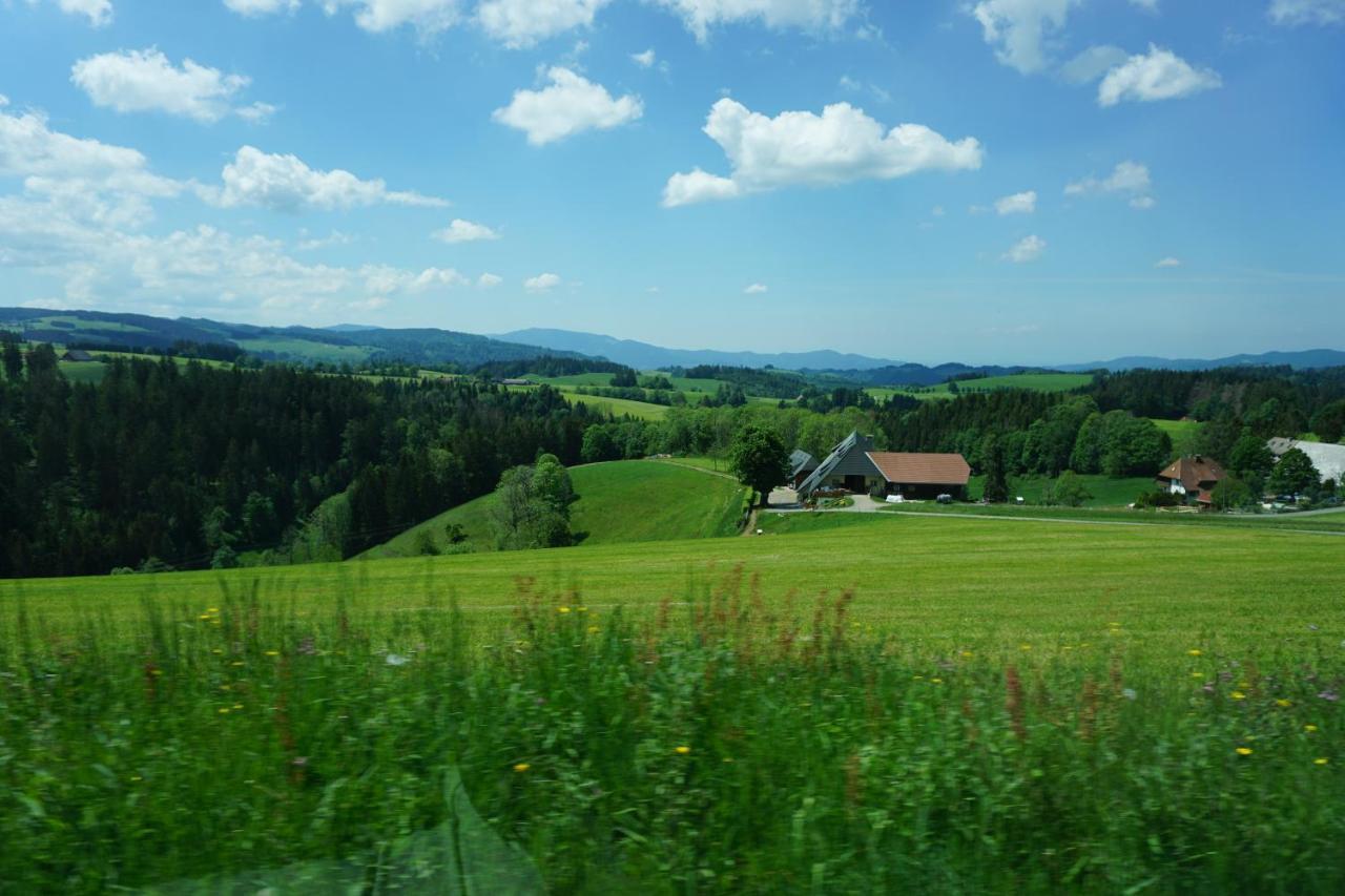 Ehrenmattlehof Faisst Aparthotel Bad Peterstal-Griesbach Ngoại thất bức ảnh